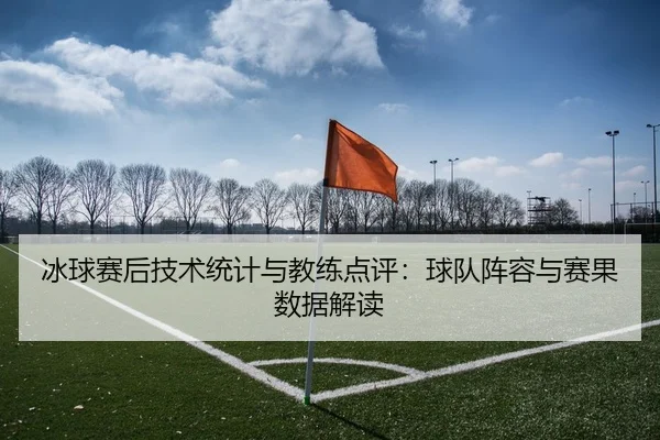 冰球赛后技术统计与教练点评：球队阵容与赛果数据解读